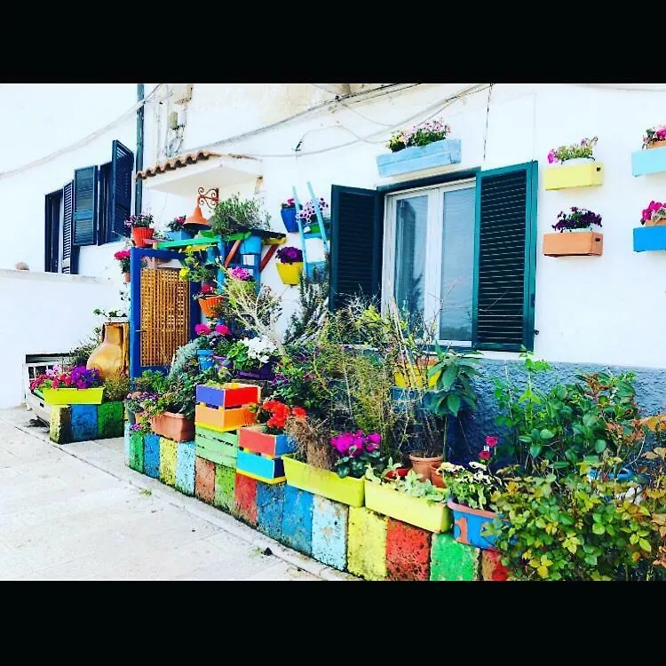 Apartment Trase & Isse Holiday Home Bari